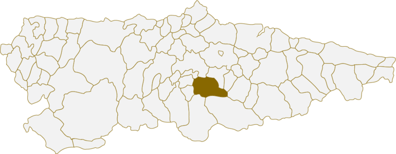 Situación del concejo